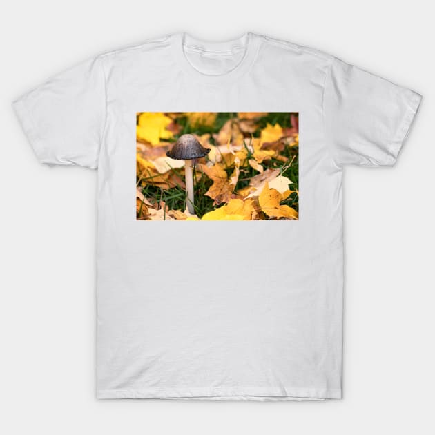 Autumn Mushroom T-Shirt by Eunice1